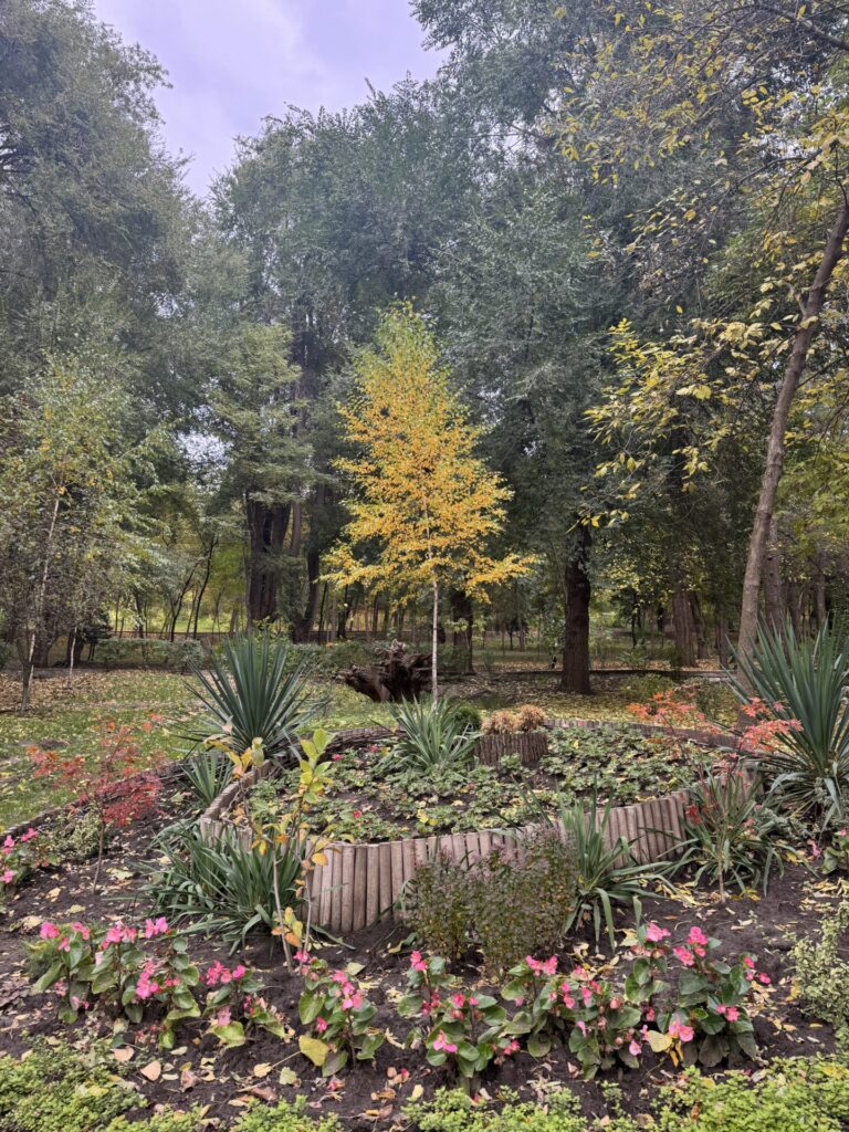 Fake Travel News - Chisinau, Moldova and the Asteroid