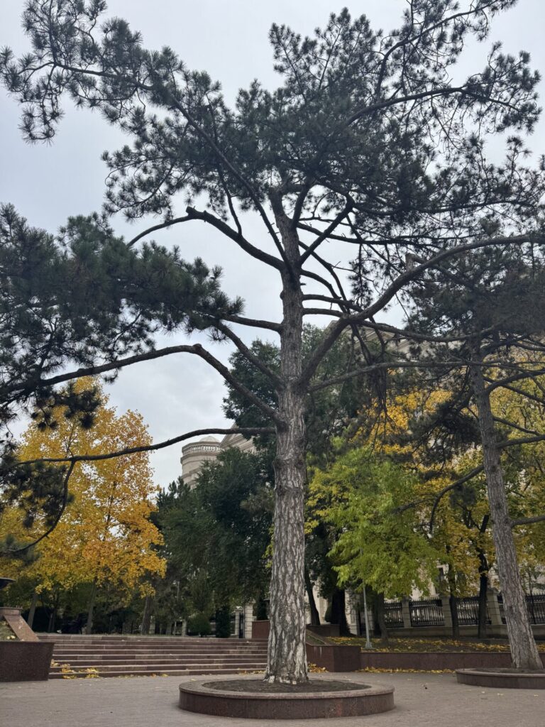 Fake Travel News - Chisinau, Moldova and the Asteroid