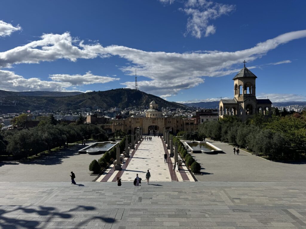 Fake Travel News: Georgia after a Coma